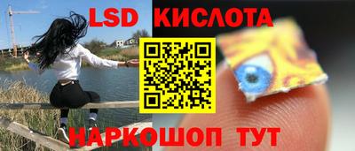 дмт Аргун