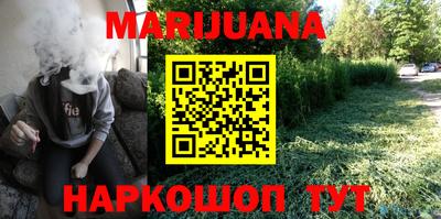 дмт Аргун
