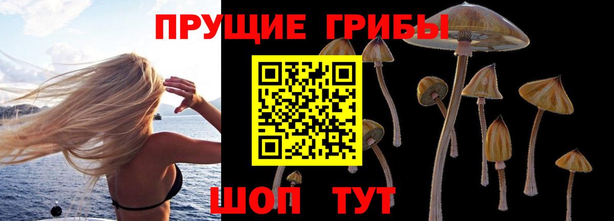 Псилоцибиновые грибы Magic Shrooms Алушта